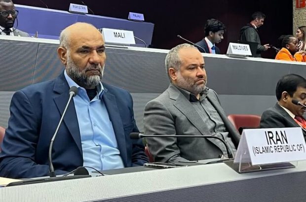 مواضع ایران پیرامون چالش مهاجرت و آوارگی در ژنو تبیین شد