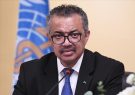سازمان جهانی بهداشت: مردم غزه اکنون به حمایت‌های ما نیاز دارند