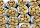 صادرات سیب‌زمینی اردبیل از هفته آینده آغاز می‌شود