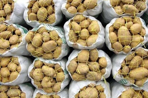 صادرات سیب‌زمینی اردبیل از هفته آینده آغاز می‌شود