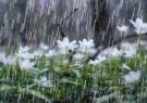 بارش رحمت الهی در واپسین روزهای آبان