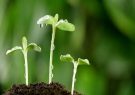 مدل های آماری چگونه می توانند به سوالات بزرگ بوم شناسی پاسخ دهند؟
