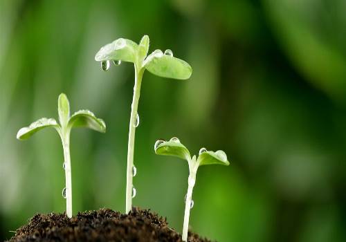 مدل های آماری چگونه می توانند به سوالات بزرگ بوم شناسی پاسخ دهند؟