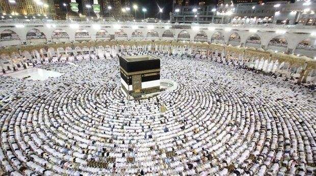اعلام راهکارهای استعلام اسناد عمره مفرده