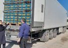 صادرات بیش از ۸ میلیون دلار مرکبات از گمرکات استان مازندران