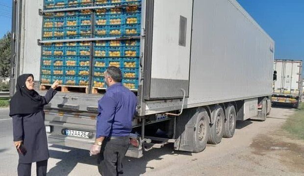 صادرات بیش از ۸ میلیون دلار مرکبات از گمرکات استان مازندران