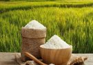 اقدامات وزارت جهاد کشاورزی برای افزایش تولید برنج