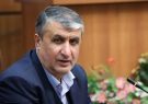 پیام رئیس سازمان انرژی اتمی به مناسبت فرارسیدن سال نو میلادی