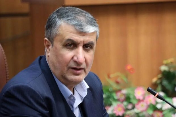 پیام رئیس سازمان انرژی اتمی به مناسبت فرارسیدن سال نو میلادی