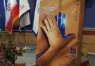 اجرای ۱۴۷ نمایش در جشنواره تئاتر فجر