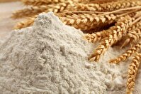 استاندارد آرد کامل گندم با هدف افزایش کیفیت نان