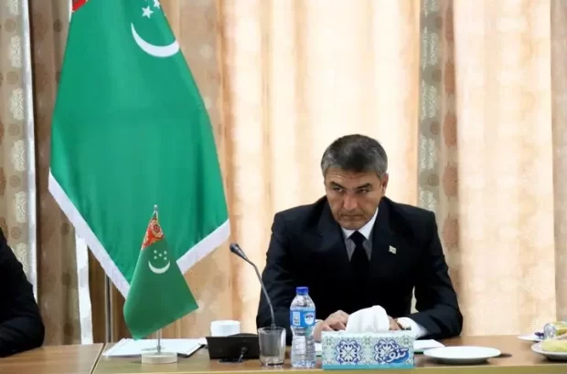 اعلام آمادگی استاندار آخال ترکمنستان برای افزایش همکاری با بخش سلامت ایران