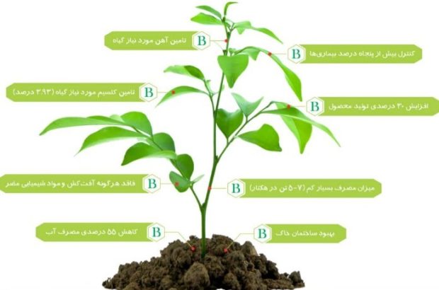 کاهش ۵۰ درصدی مصرف آب کشاورزی با محصولی دانش‌بنیان