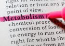 متابولیسم چیست؟ و چرا اهمیت دارد؟ متابولیسم چیست؟ و چرا اهمیت دارد؟