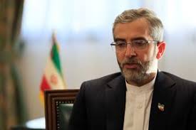 نشست فوق العاده ۸ کشور اسلامی در ترکیه